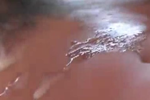 Greatest Shots