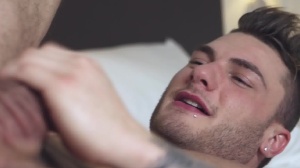 Top To Bottom : William Seed - William Seed painfully Hump